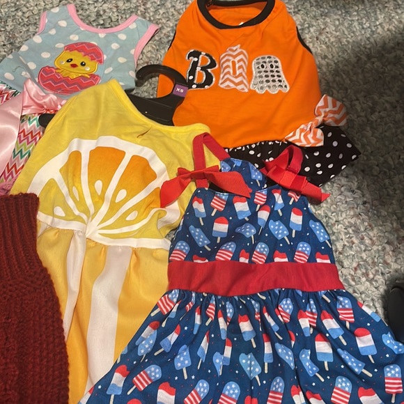 Dog clothes bundle - Picture 3 of 4